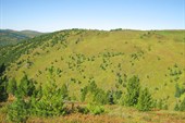 После поиска спускаемся на р. Сугары